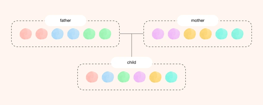 Héritage de l'ADN